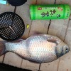 【ワカサギ釣り2013】爆釣求めてしのつ湖南地区へ行くと…すごいのが釣れた!