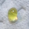 動画と静止画で紹介!ワカサギの内臓を簡単に取る方法